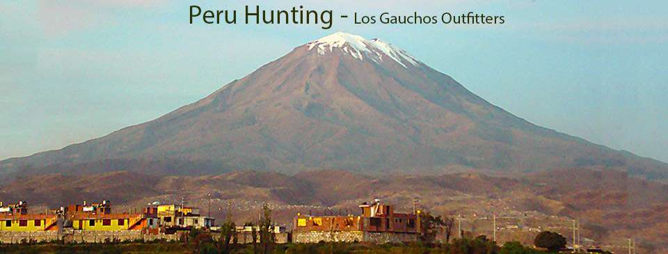 Los Gauchos Peru Hunting